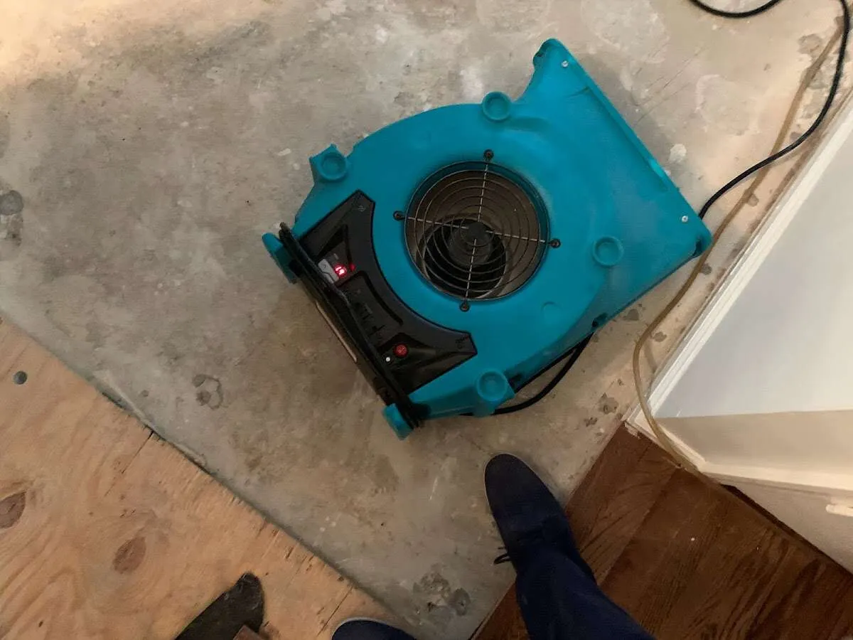 Air mover drying subfloor during Leak Detection & Repair in Locust